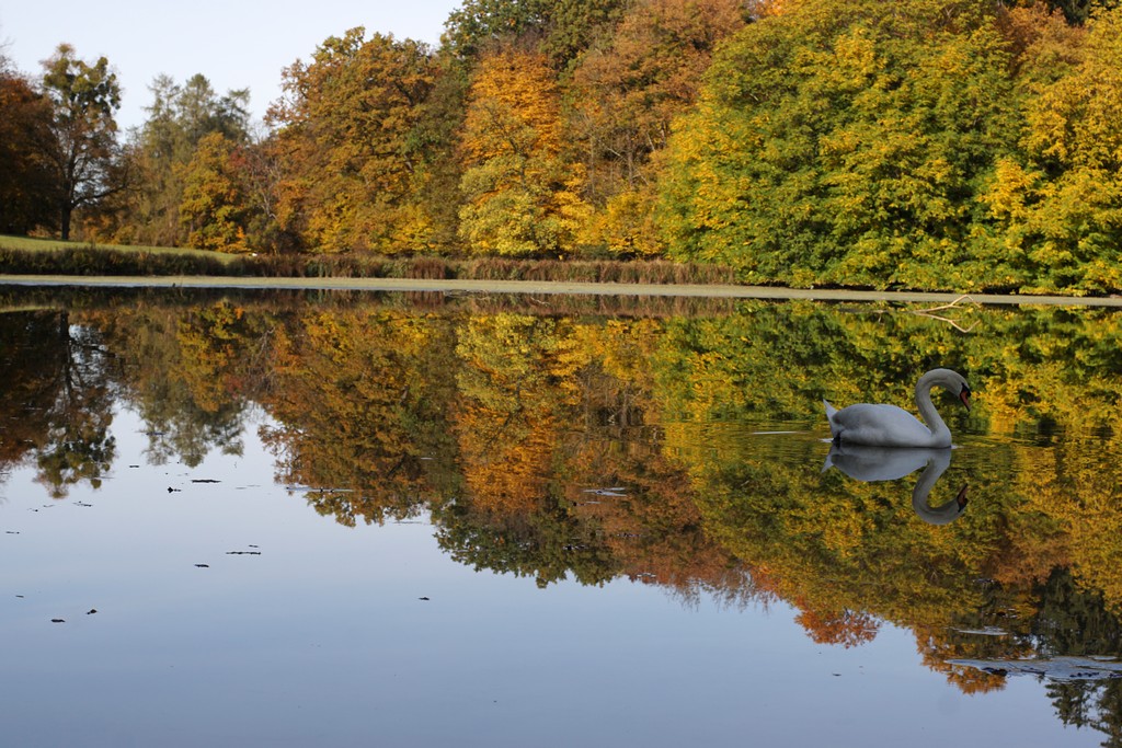 Kleiner See