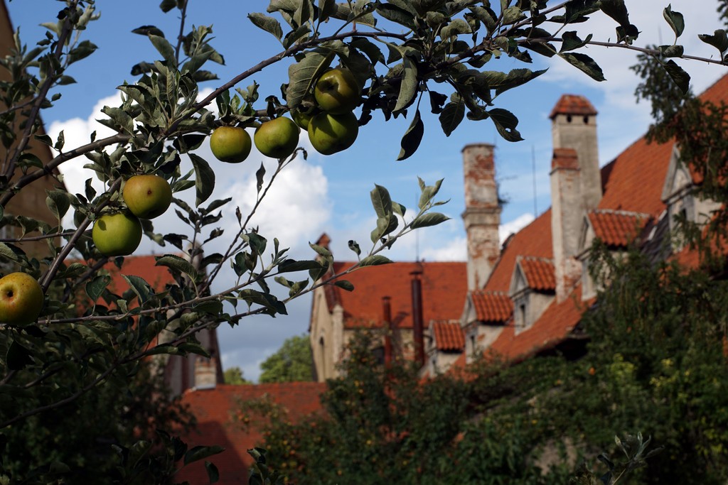 Obstgarten des Minoritenkloster