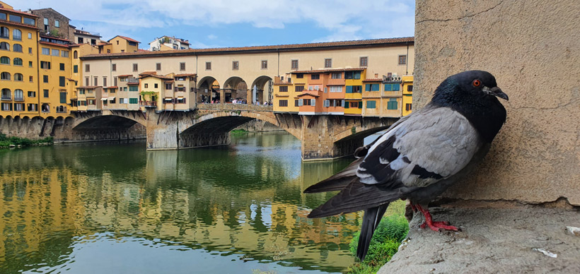 Ponte Veccio, Ufer des Arno