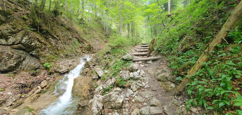 Tutzinger Hütte abfahrt MTB