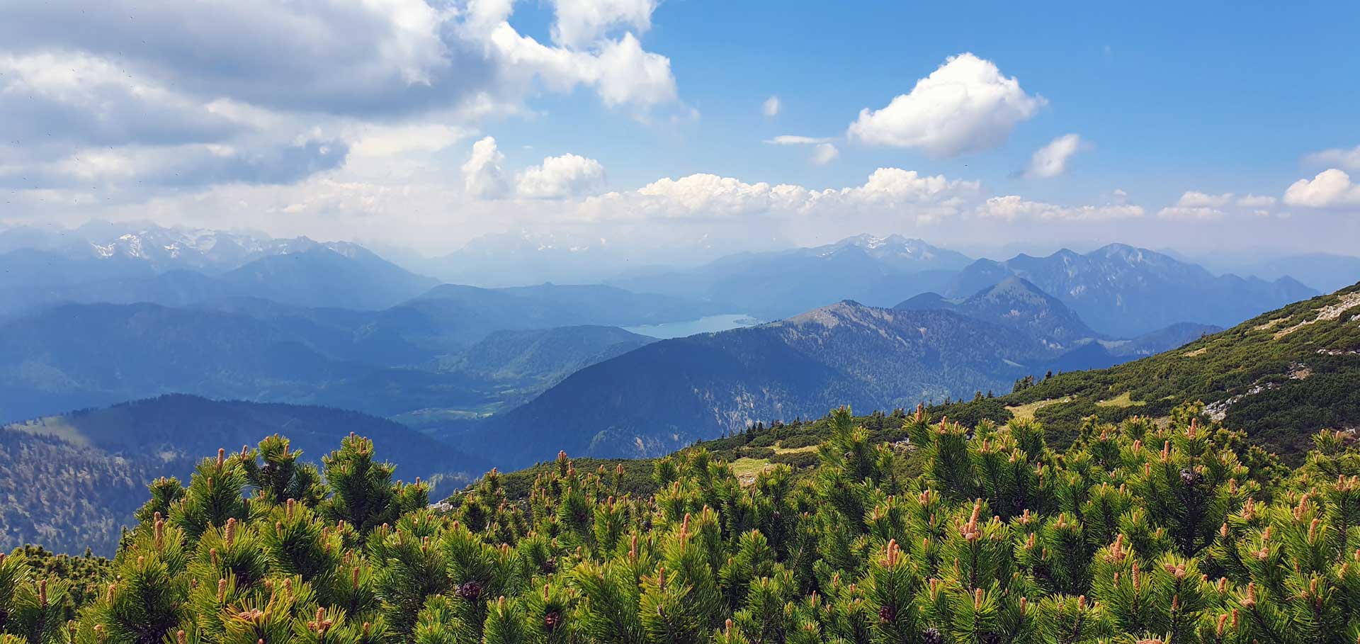 Pannorama Walchensee