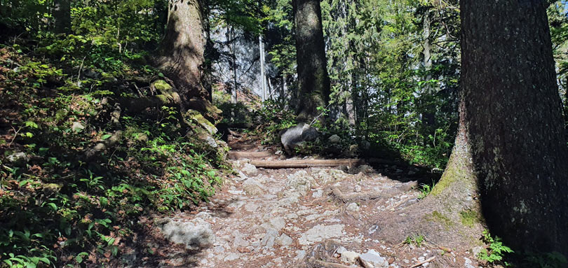 Weg zur Tutzinger Hütte