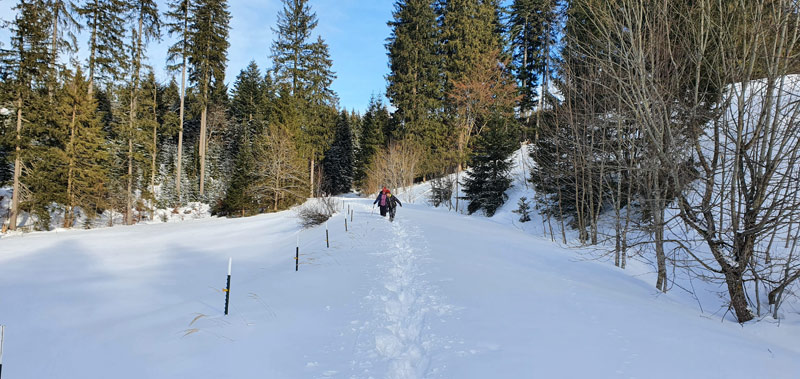 Lainbachtal Wanderung