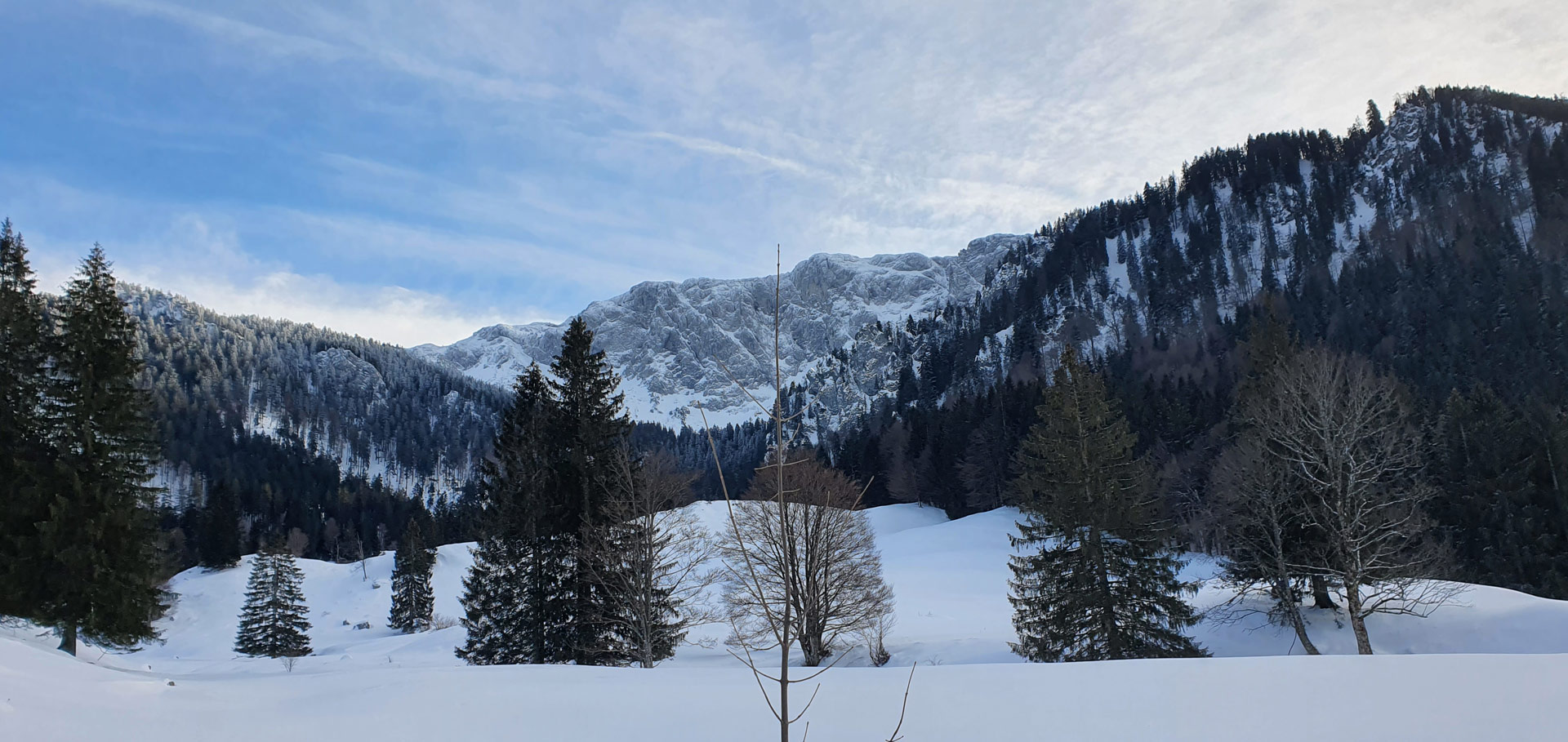 Benediktenwand Eibesfleckalm