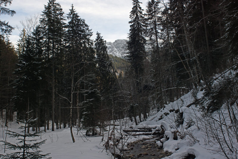 Tal der Schmiedlaine Brücke