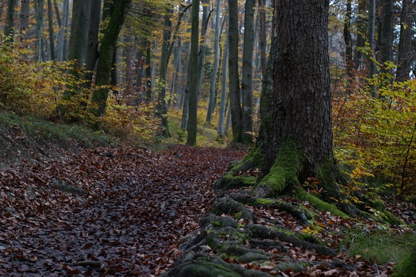 Über das Hörndl nach Andechs