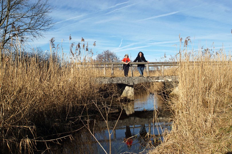 Maisinger See Rundtour