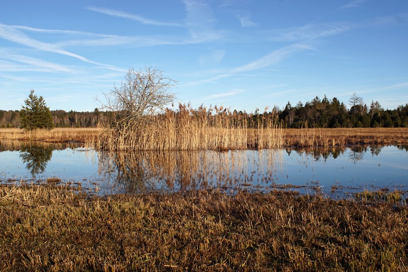 Naturschutzgebiet