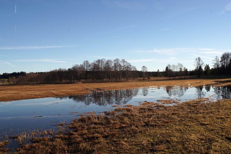 Naturschutzgebiet