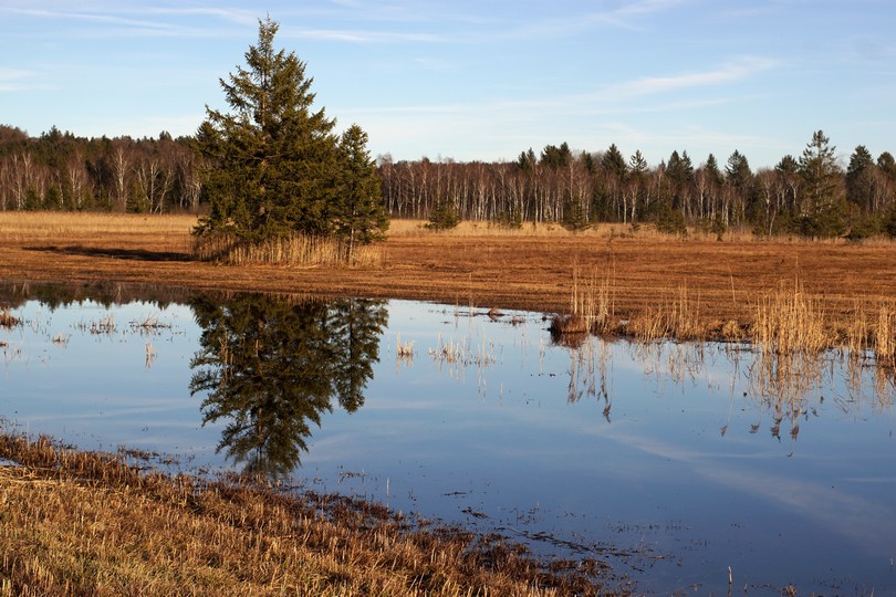 Naturschutzgebiet