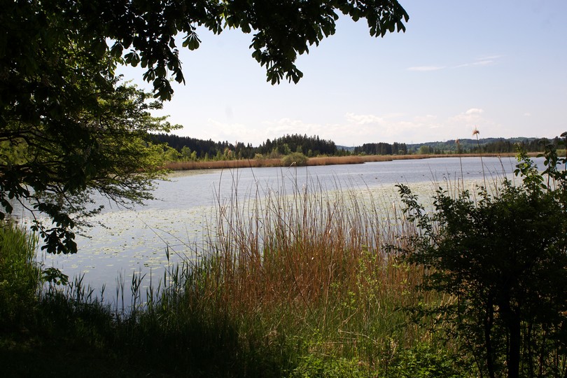 Maisinger See