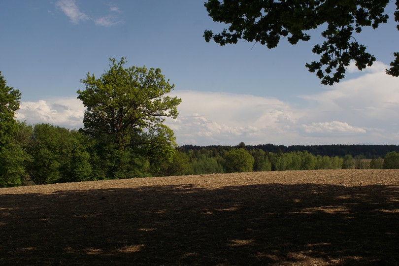 Blick auf die Berge