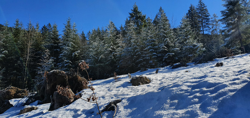 Wandern und Klettern Daffensteine auf halber Strecke