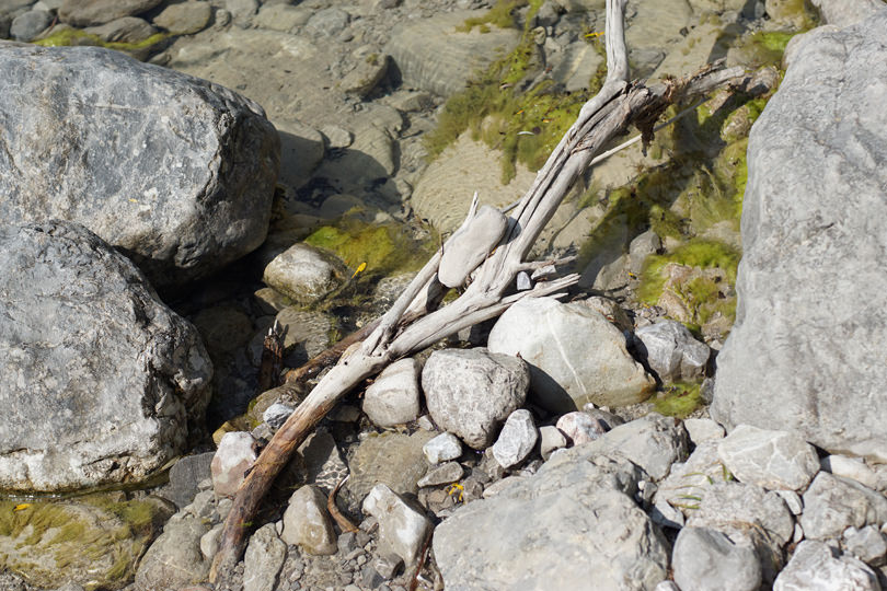 Flusswanderung  Hofbauernweißach