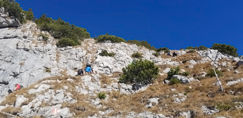 Tegernseeer Hütte führt ein Steig