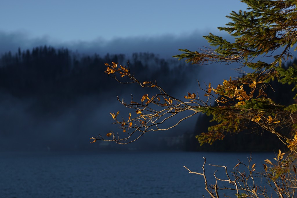 Walchensee Anleger