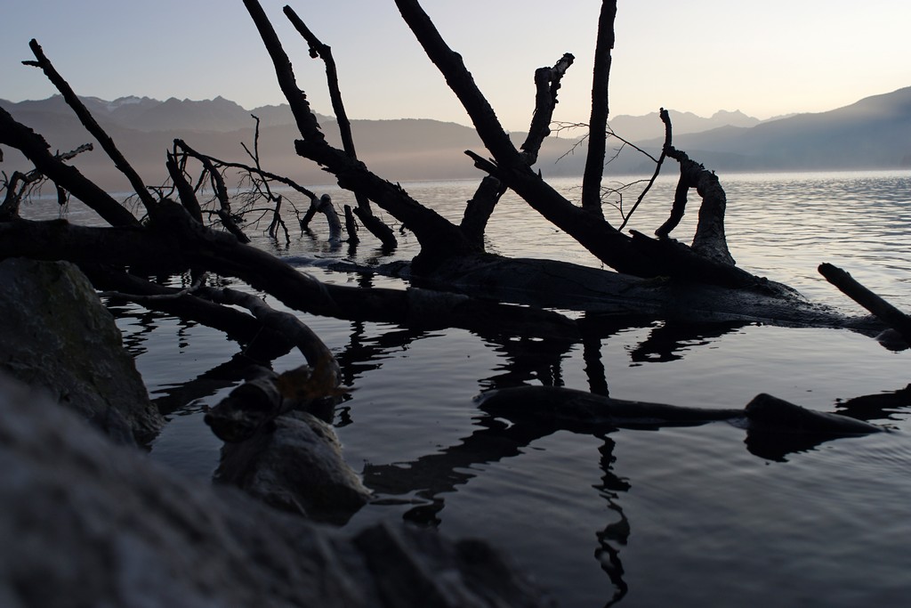 Walchensee Reflektionen